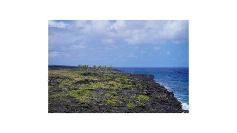 Hilo Hawaii coastline with volcanic mountains in the background